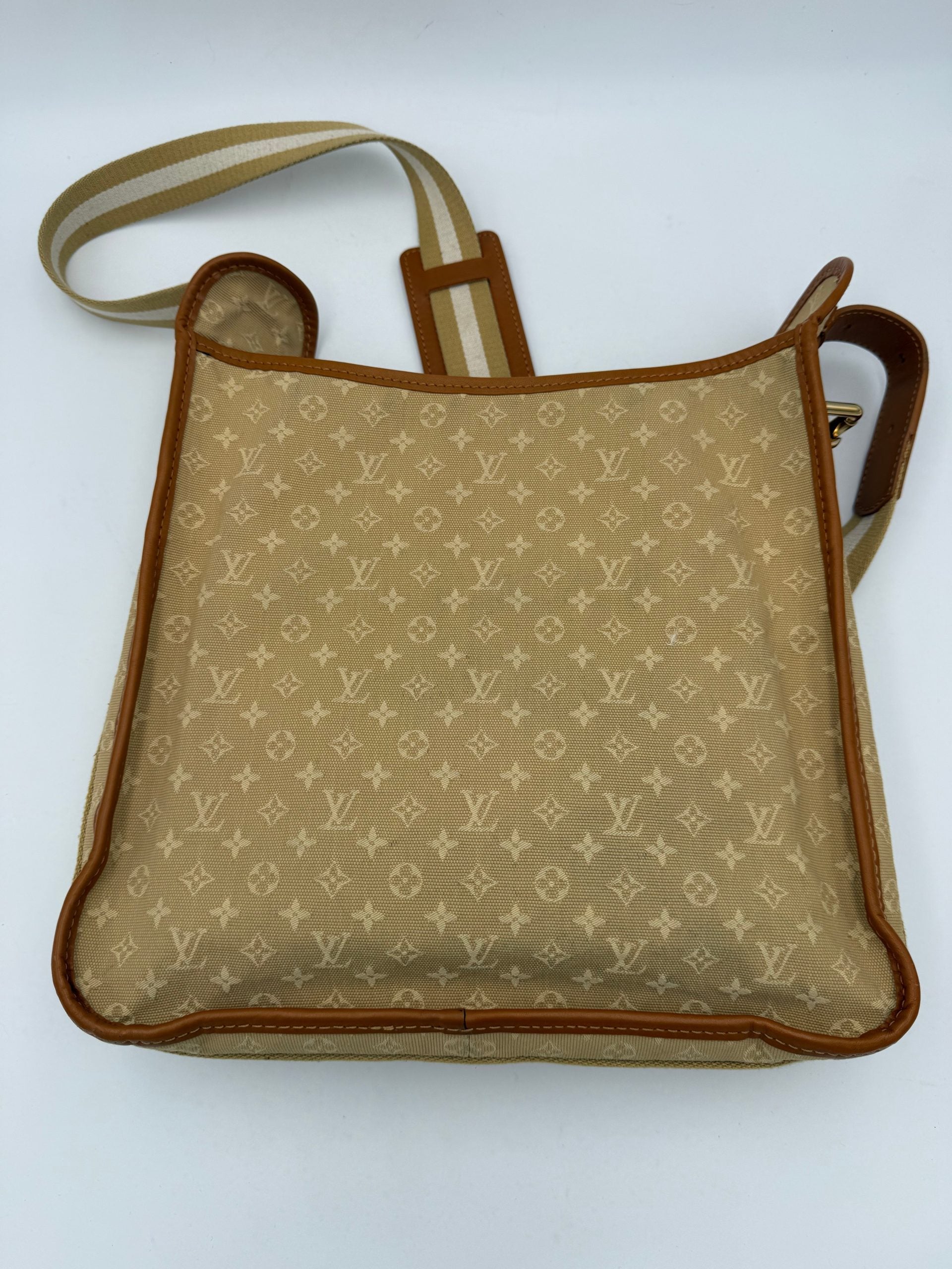 Louis Vuitton Multicolor Leather Handbag