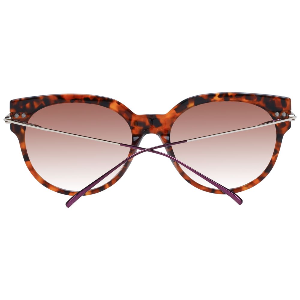 Scotch & Soda Brown Acetate Sunglasses - Luxe Nova