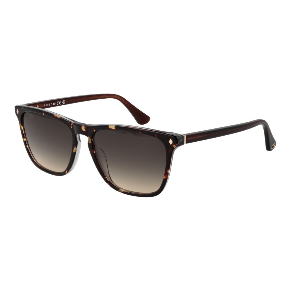 Web Brown Acetate Sunglasses - Luxe Nova