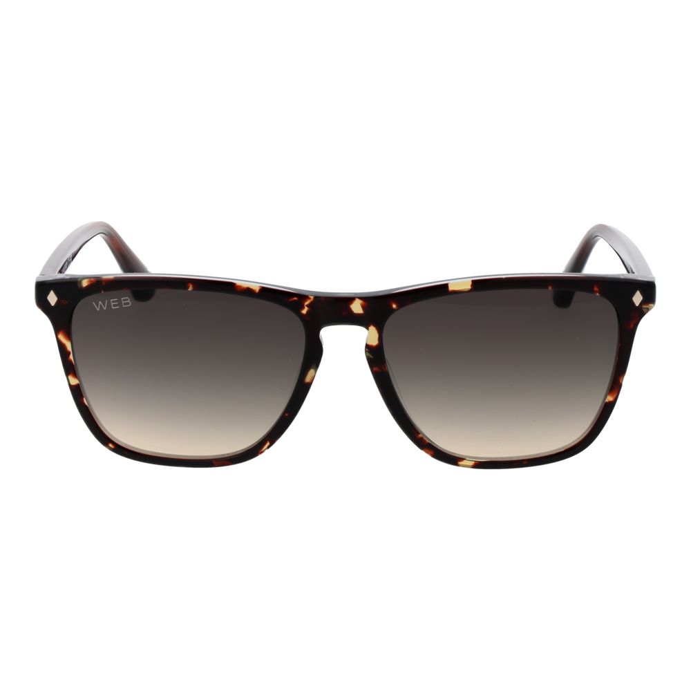 Web Brown Acetate Sunglasses - Luxe Nova