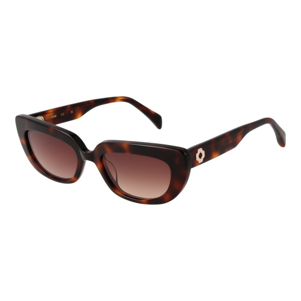 Maje Brown Acetate Sunglasses - Luxe Nova