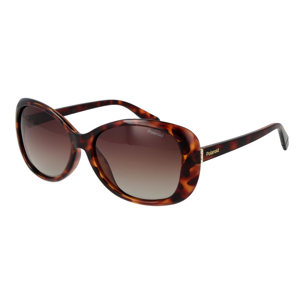 Polaroid Brown Plastic Sunglasses - Luxe Nova