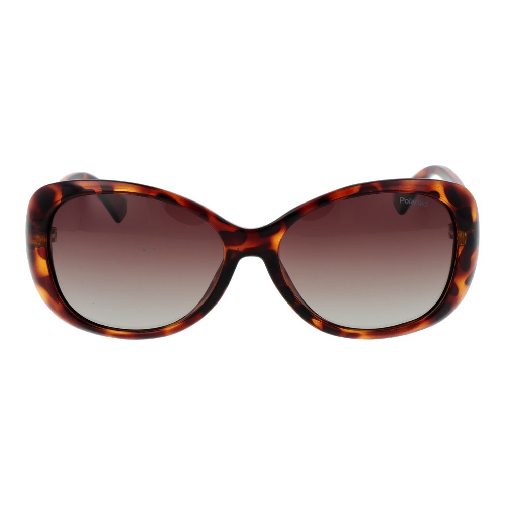 Polaroid Brown Plastic Sunglasses - Luxe Nova