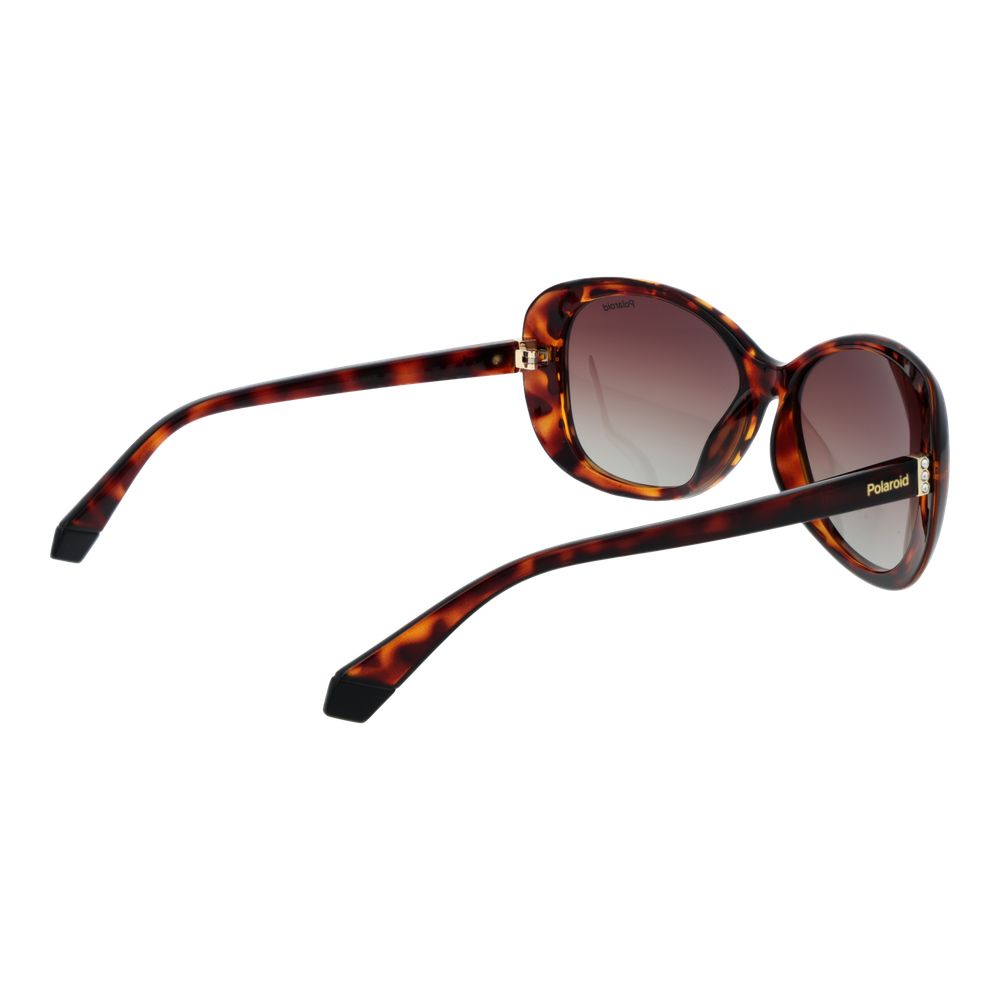 Polaroid Brown Plastic Sunglasses - Luxe Nova