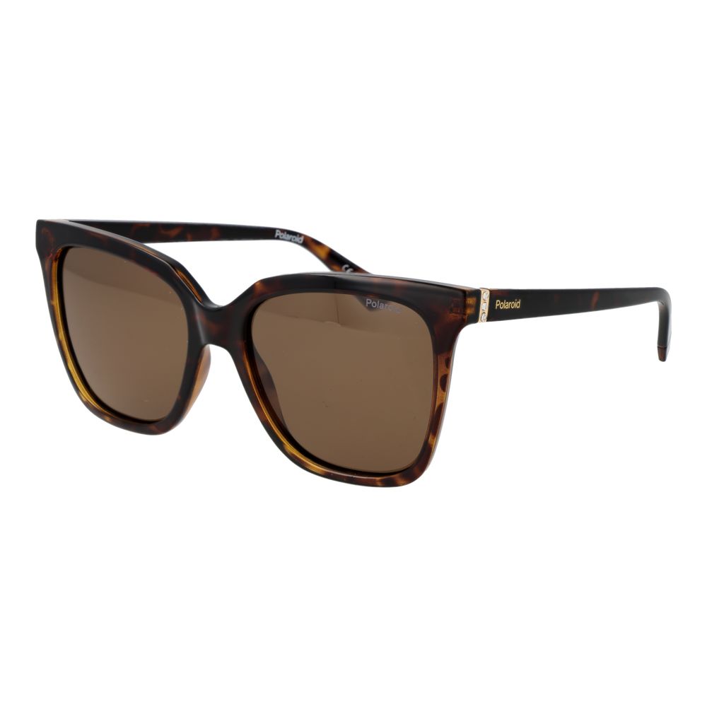 Polaroid Brown Polycarbonate Sunglasses - Luxe Nova
