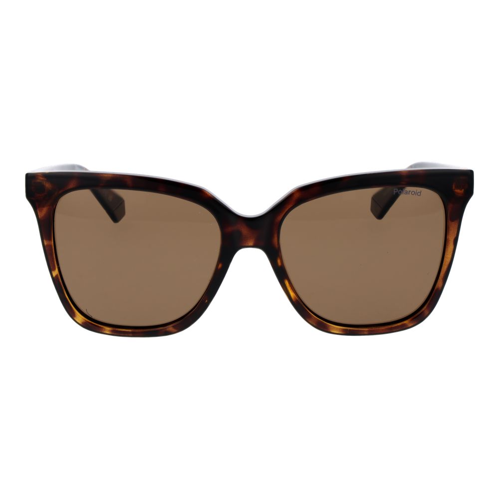 Polaroid Brown Polycarbonate Sunglasses - Luxe Nova