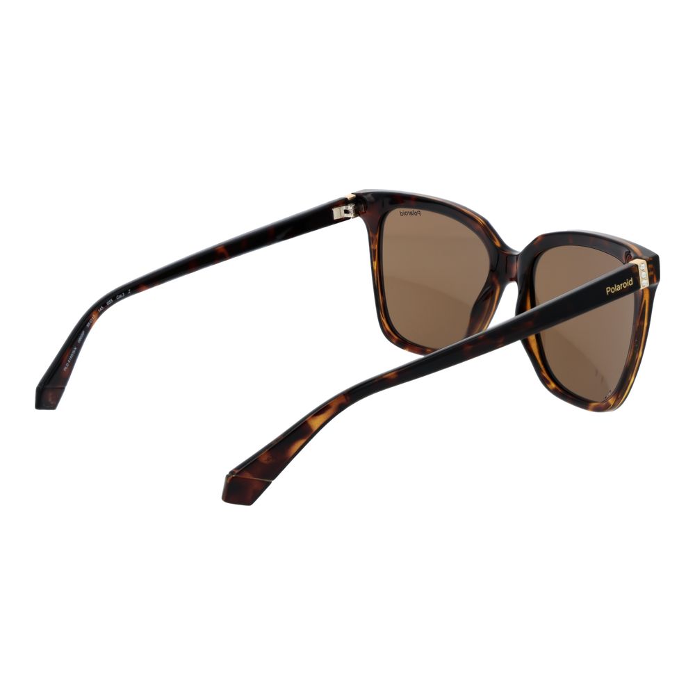 Polaroid Brown Polycarbonate Sunglasses - Luxe Nova